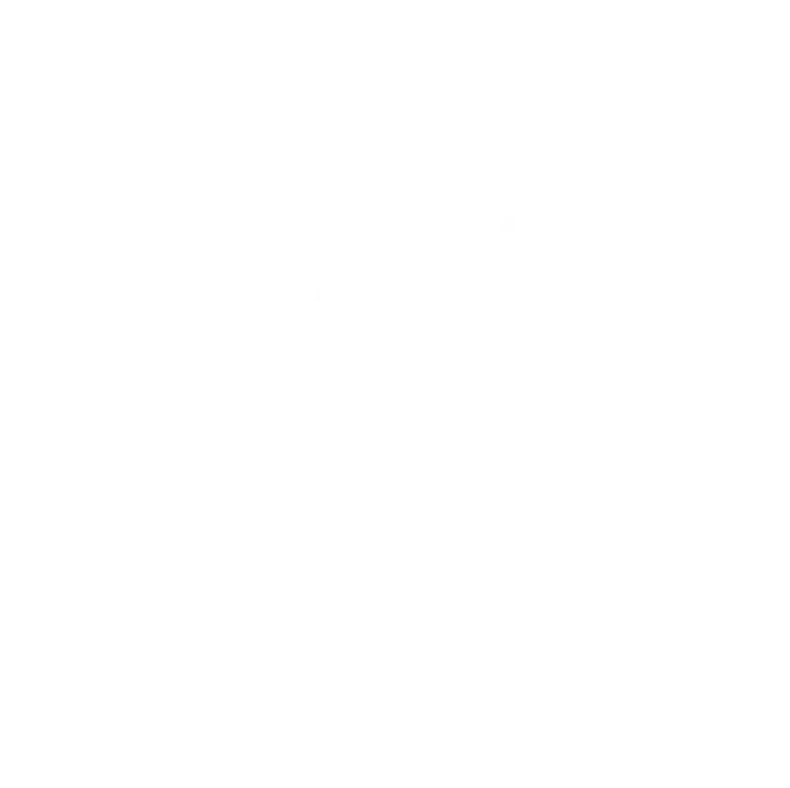 A1