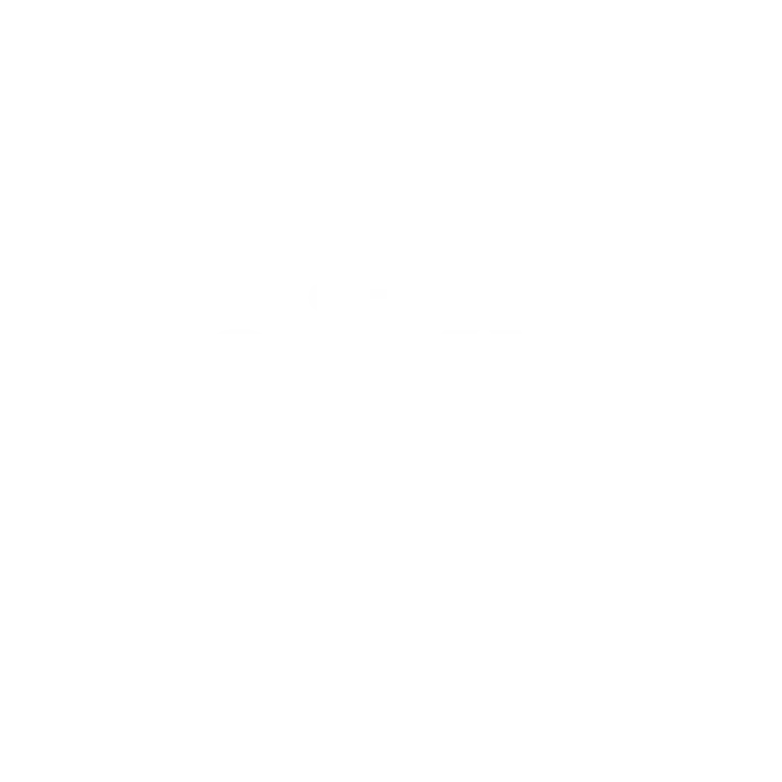 Niky AI